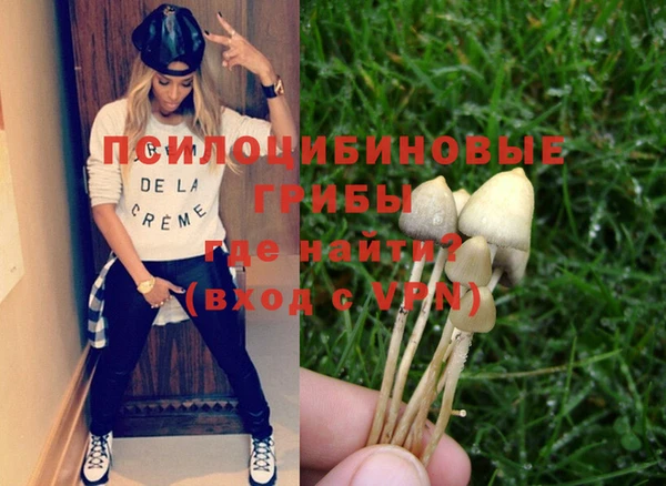 прущая мука Дмитровск