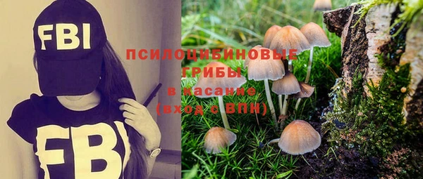 гашишное масло Дмитриев