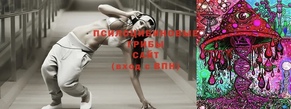 прущая мука Дмитровск