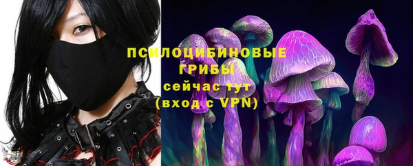 прущая мука Дмитровск
