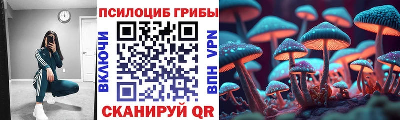 Псилоцибиновые грибы GOLDEN TEACHER  Купить  Калач-на-Дону 